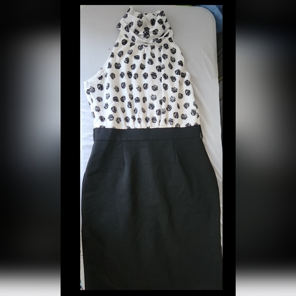 New York & Company Dresses & Skirts - New York & company Women's Size 6 black Polka-dot knee length dress #B314